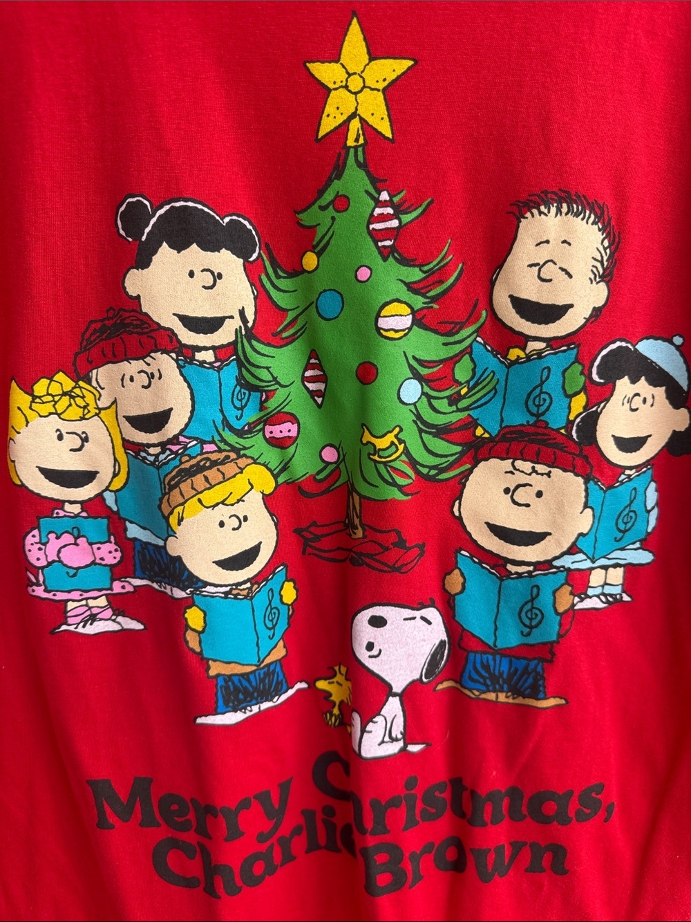 Peanuts Merry Christmas Charlie Brown Red Graphic Tee - Picture 2 of 6